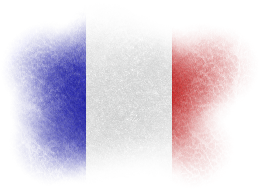 French Brush Flag