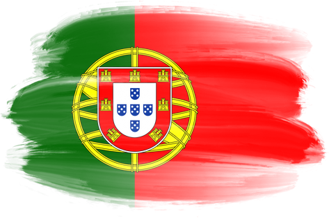 Portugal Brush Flag